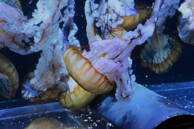 通信雷达行业三字商标名字大全