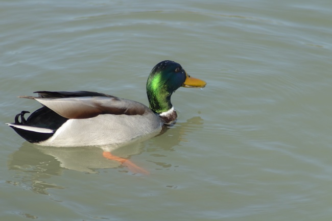 创意新潮的通讯设备维护行业公司名字三个字