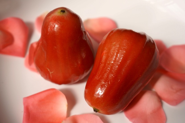 文化传媒新公司起什么名字招财运