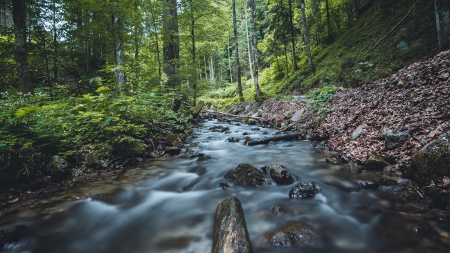 水产新注册公司名称大全三个字
