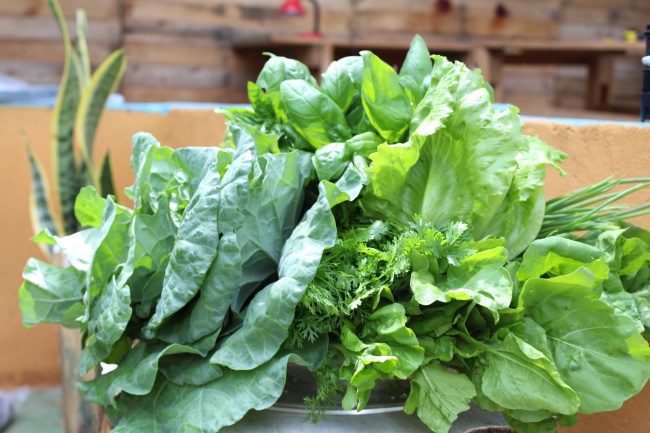 三个字商标名字大全畜牧产批发行业寓意公司名字