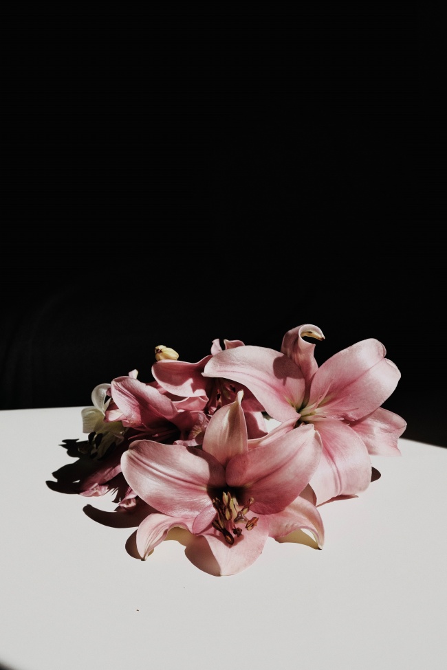 水瓶座的恋爱天分  6星