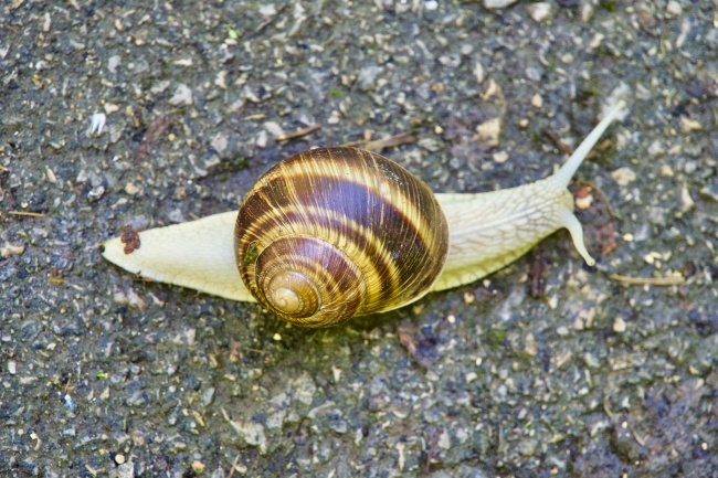 艾菲尔 十二星座一周运势最新11.29-12.5