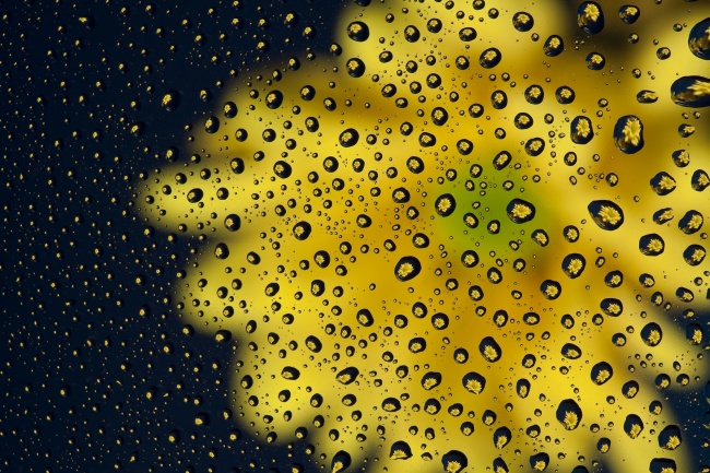 十二星座酒局状态| 白羊座