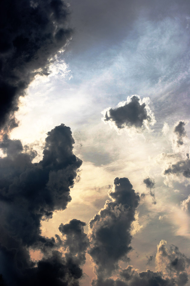 狮子座的恋爱天分 3星