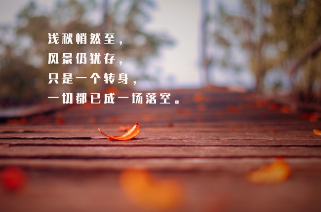 2022年圣诞节爱情运极好的星座  感情稳定喜事发生天蝎座