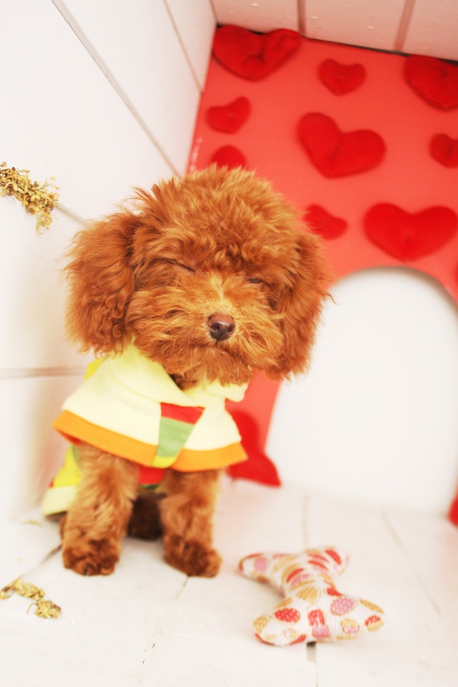 2022年立冬贵人运旺盛的四大星座