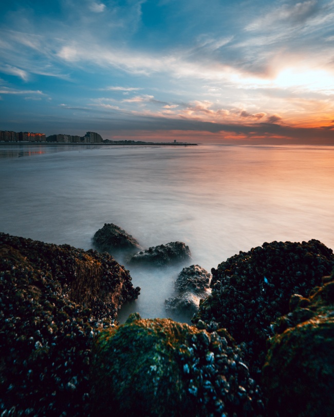 十二星座酒局状态| 水瓶座