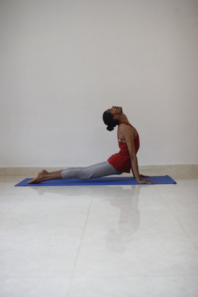 狂月天时 十二星座每日运势11月30日运程