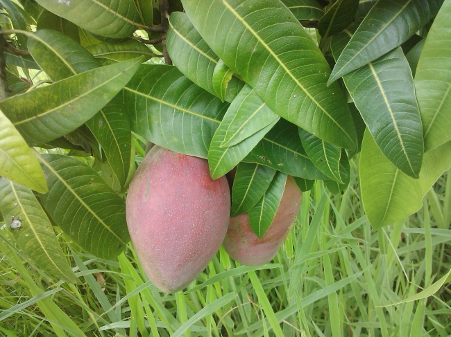 2022年处女座爱情宿命分析  感情升温