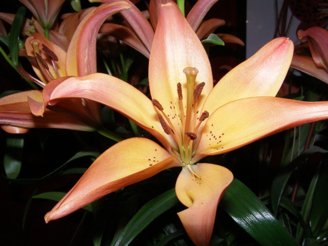 好运从天而降 哪些星座能够抓住机会赚一波