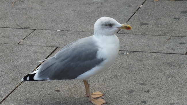 三字顺口大气的金融服务外包公司名字大全参考