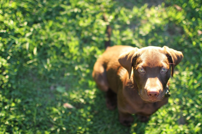明年自带好运体质的星座 其中也会有你吗