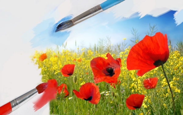 2005年的处女座男生女生性格特点与命运