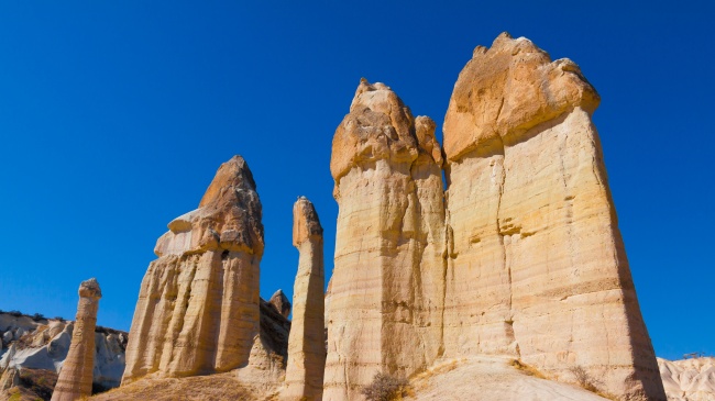 电子商务发展公司取名三个字推荐