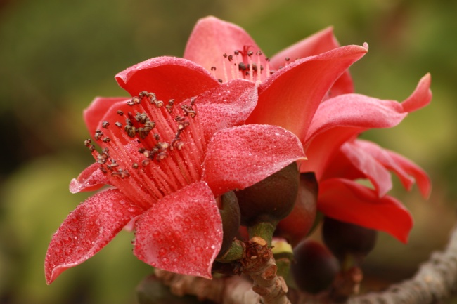 射手座交往恋爱哪些行为不要做  对他们指手画脚