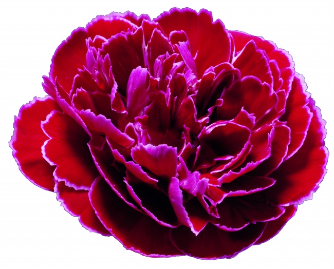 2022年除夕综合运势旺的星座都有哪些