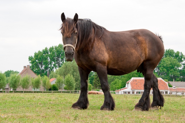 桃花运有上升趋势 有望邂逅命中注定