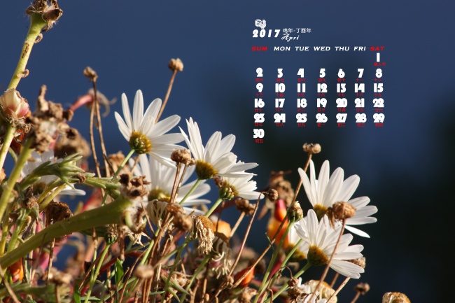 天秤座在爱情中的样子 遇见爱情的表现