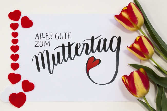 狮子座交往恋爱哪些行为不要做  挑战他的自尊心