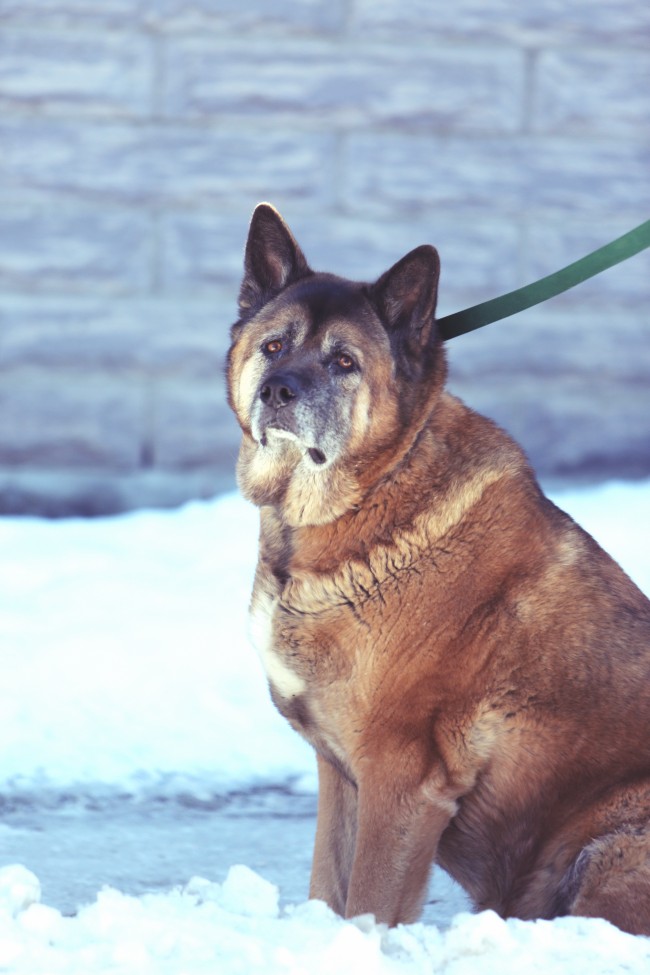 2022年除夕爱情运会旺的4大星座男 有你吗