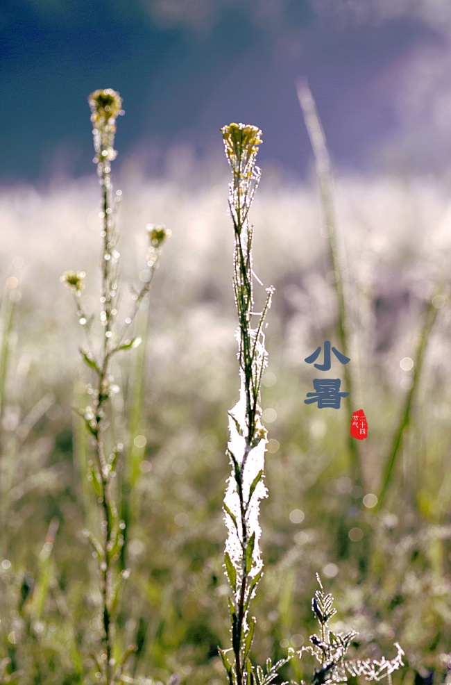 2022年情人节天秤座艳遇运势旺不旺 有望脱单