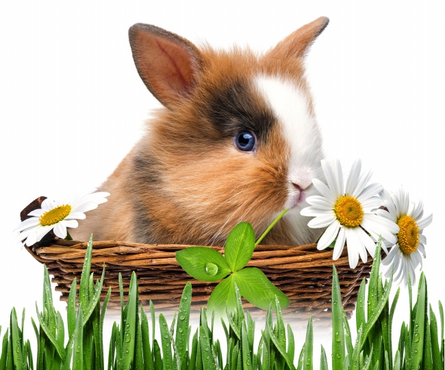 巨蟹座爱情持久度有多高 89分