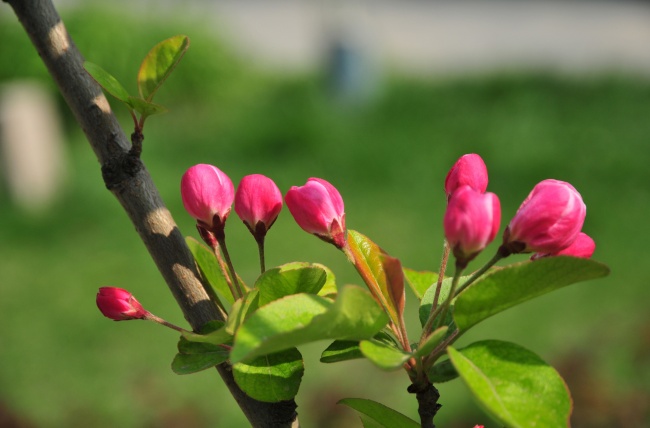 2022年情人节双子座艳遇运势好不好 招人喜欢