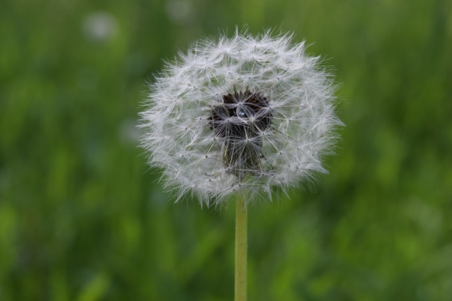 射手座的爱情温度  35°