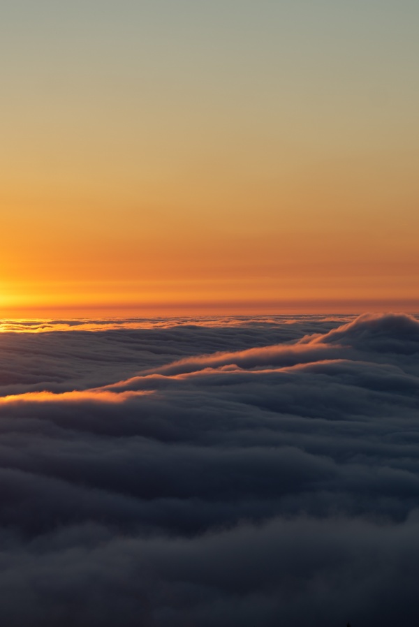 洋气的广告公司名字