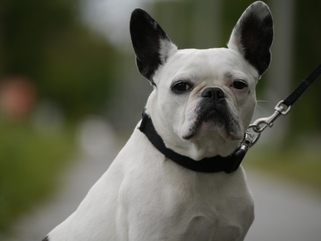 天秤座的爱情保鲜期是多久  一个季度