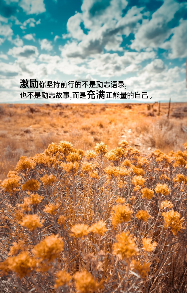 2022年异性缘最旺的星座 看看有你没有