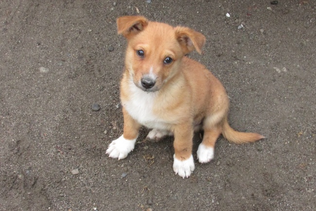 桃花运来袭 感情方面一帆风顺处处惊喜的星座