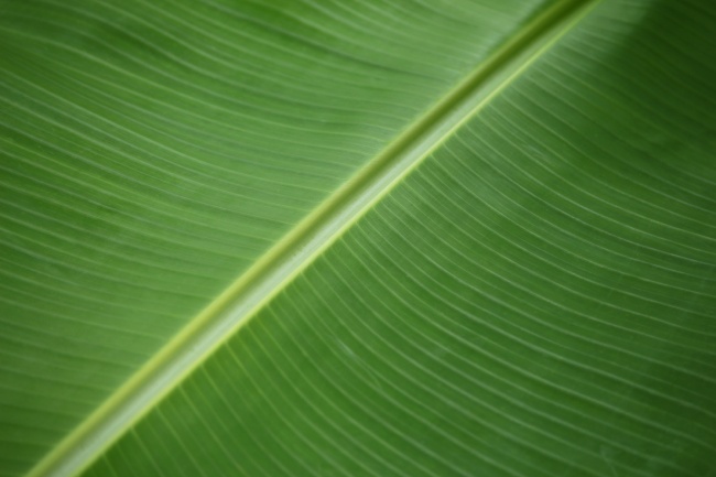 公司起名 带水的字公司名字