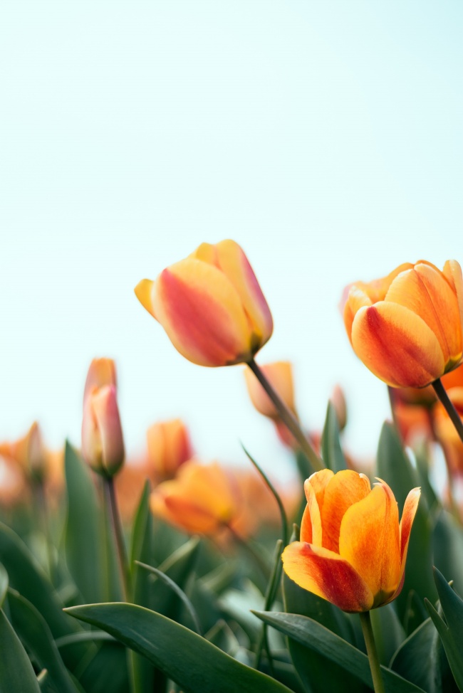 2003年的水瓶座男生与女生命运 性格特点分析