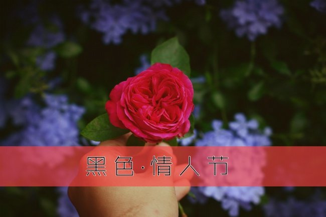 巨蟹座爱情速配星座！ 开花结果巨蟹座