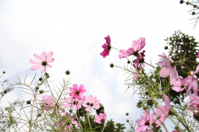 2004年的水瓶座命运解析 男生和女生的性格