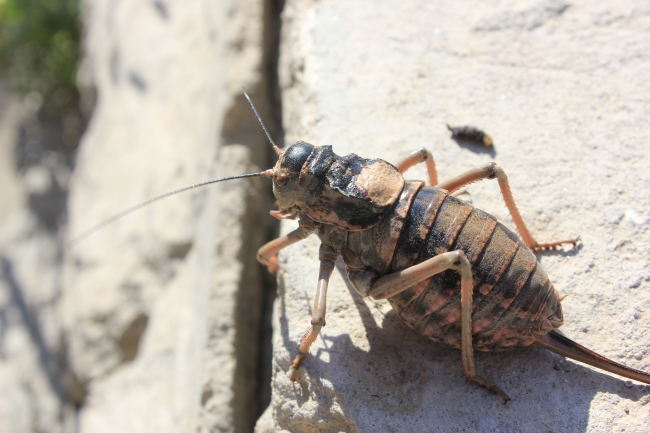 开公司起名什么字最好