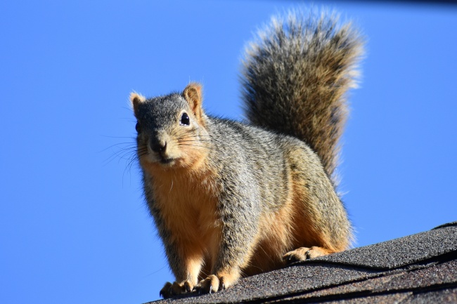 王力宏官宣离婚：金冥合相，带来的业力清算！