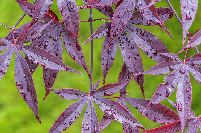 2022年水星顺行！这三大星座将运势回升