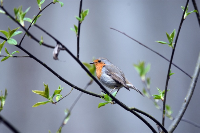 摩羯座爱情腹黑面何在？  货比三家