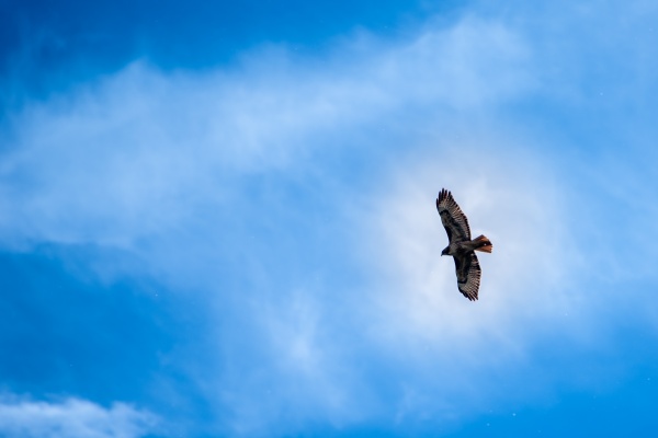 能恋爱不能结婚的3大星座揭秘 是你吗