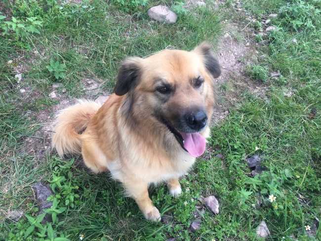 在运势的加持下 3星座拥有展现自己的机会