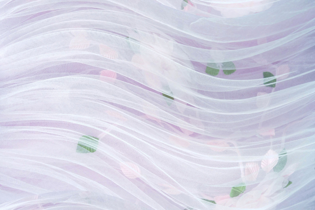 生命灵数：命运数为1的星座一生命运