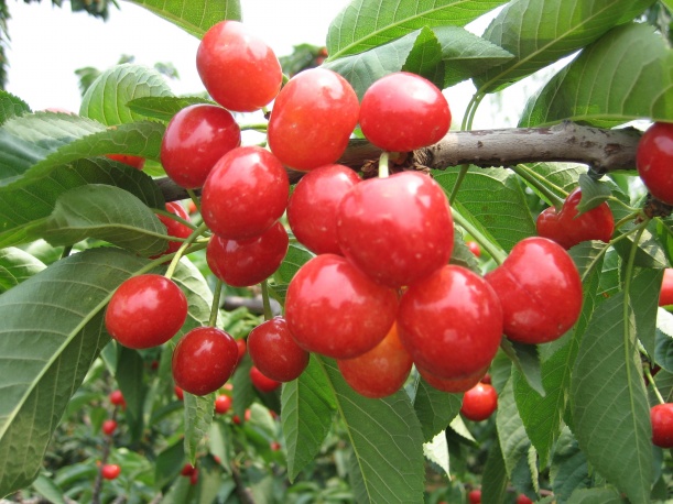 哪些星座的事业运财运将会双双从天而降