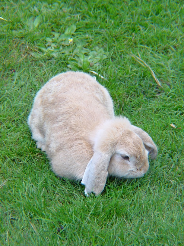 巨蟹座不愿意过早成家的原因？  对未知生活有恐惧