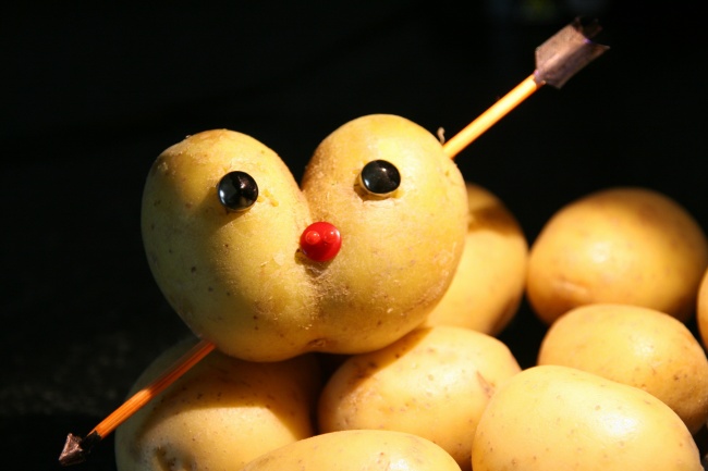 1月财运来袭 哪些星座理想照进现实 美梦成真