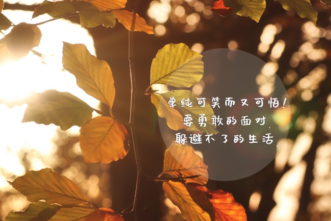 双鱼座急着脱单的背后有什么秘密  一直都想脱单