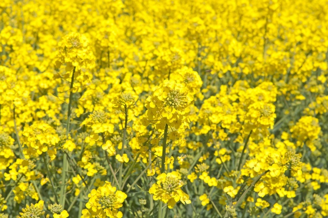 好听的金融公司名字