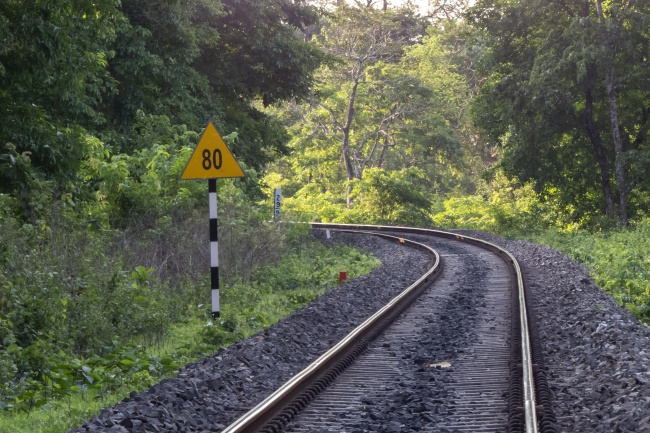1月桃花处于上升趋势 爱情有所进展的星座